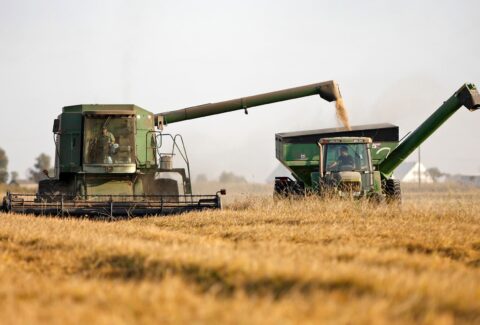 Study Agriculture in USA