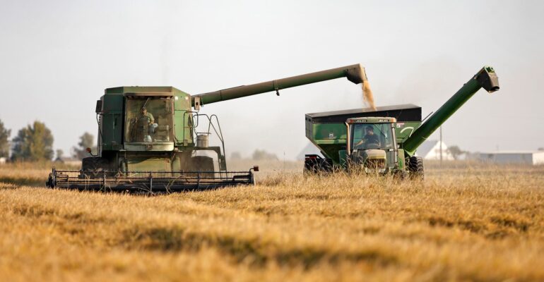 Study Agriculture in USA