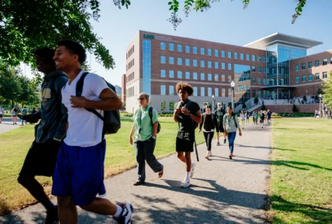 University of Birmingham Courses